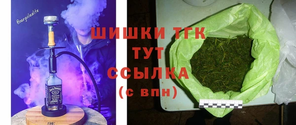 индика Арсеньев