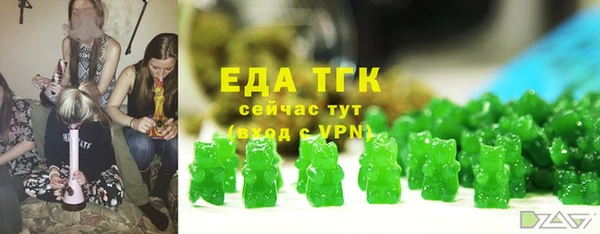 индика Арсеньев