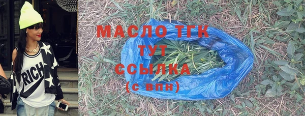 индика Арсеньев