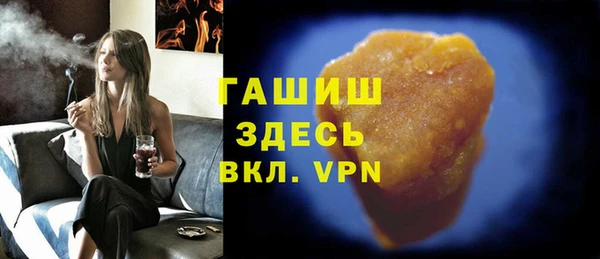 индика Арсеньев