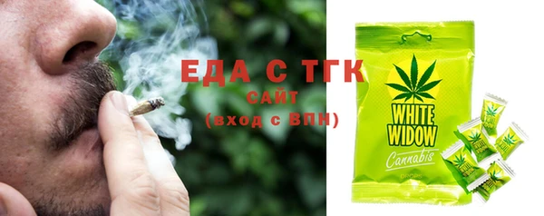 индика Арсеньев