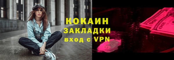 индика Арсеньев