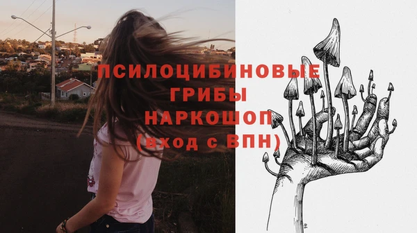 таблы Армянск