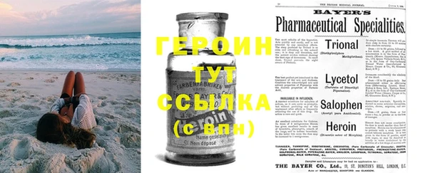 индика Арсеньев