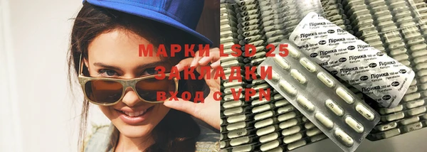 индика Арсеньев