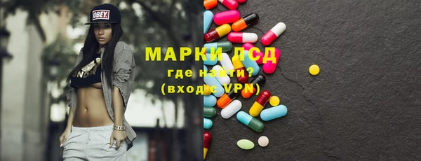 индика Арсеньев